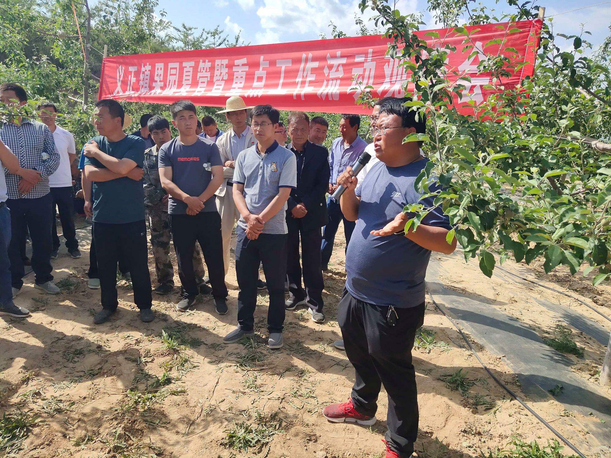 灵台县苹果镇新闻联播网灵台县阳光平台工程招标网-第2张图片-太平洋在线下载