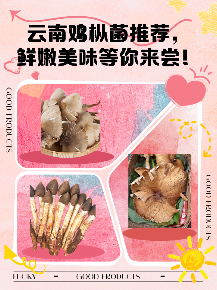美味的细菌安卓版美味的细菌电脑版下载-第2张图片-太平洋在线下载